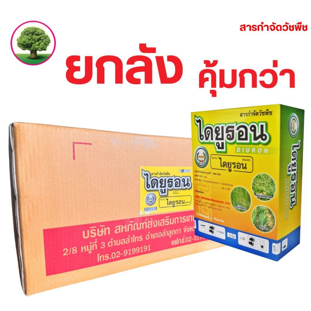 ไดยูรอน (หวีทอง) สารไดยูรอนชนิดผงกำจัดวัชพืชทั้ง ใบแคบและใบกว้าง  ยกลัง ขนาด 1 กิโลกรัม มี 12 กล่อง