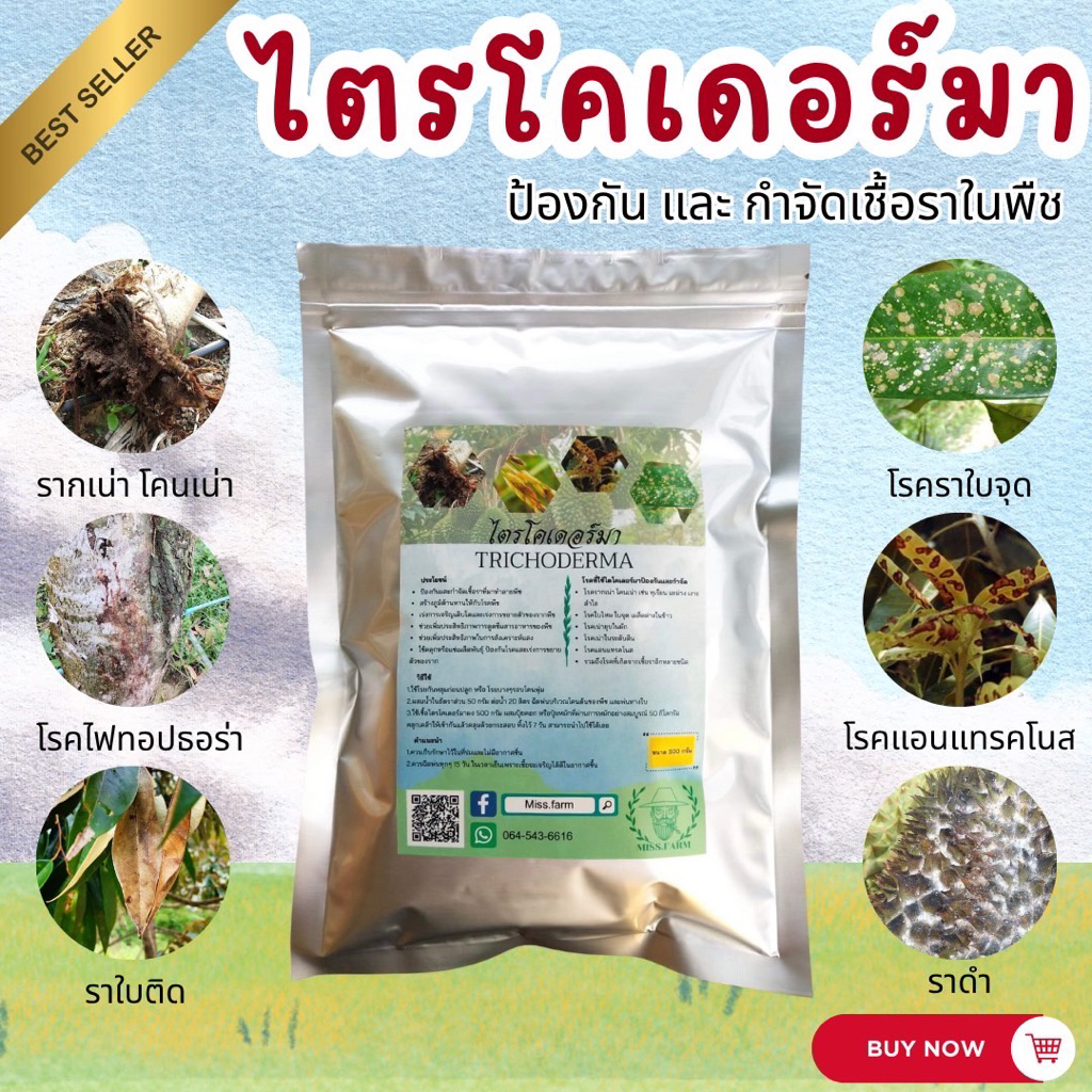 ไตรโคเดอร์มา กำจัดเชื้อราโรคพืช ขนาด 500 กรัม