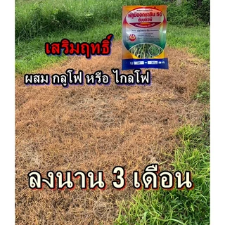 ฟลูมิออกซาซิน 50 WP คุมวัชพืชก่อนงอกและหลังงอกทุกชนิด ในไร่อ้อย มันสำปะหลัง ข้าวหว่านแห้ง และผสมสารกำจัดวัชพืช