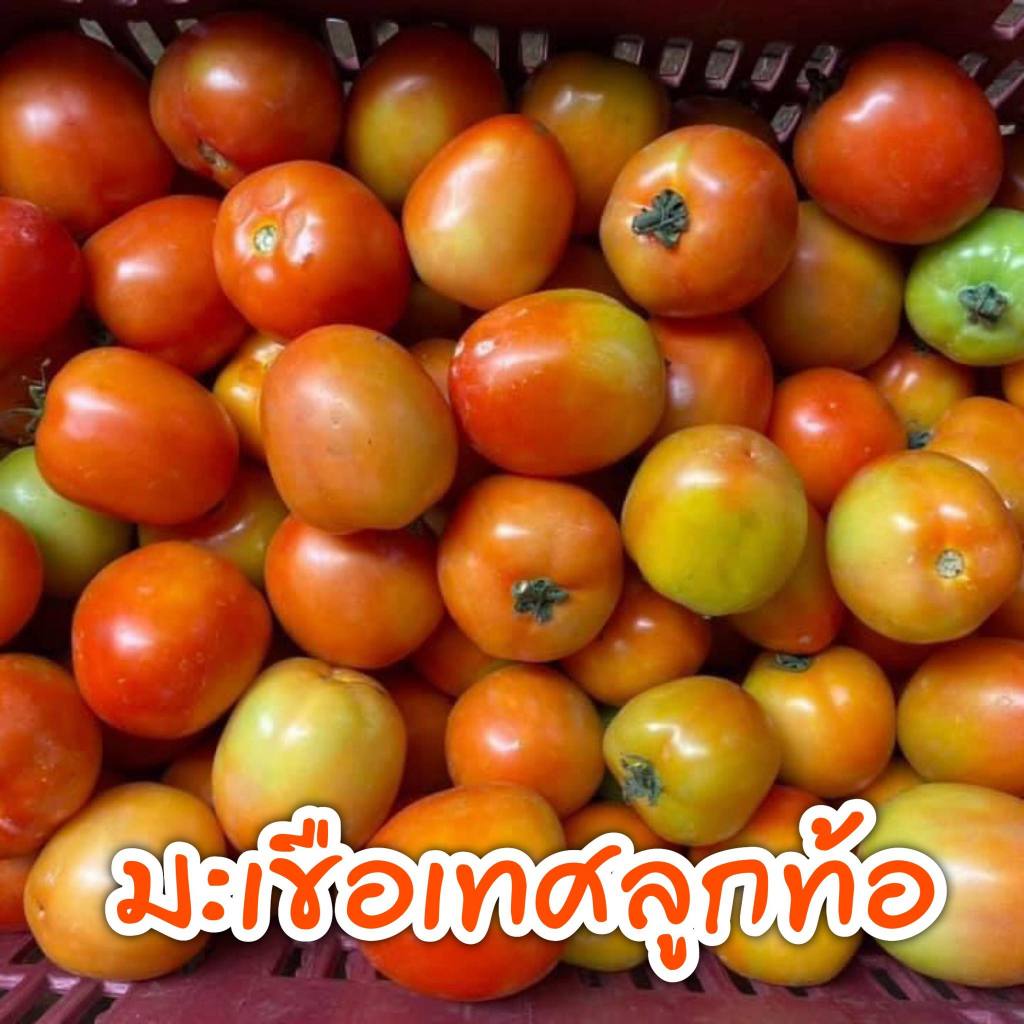 รูปภาพ 9