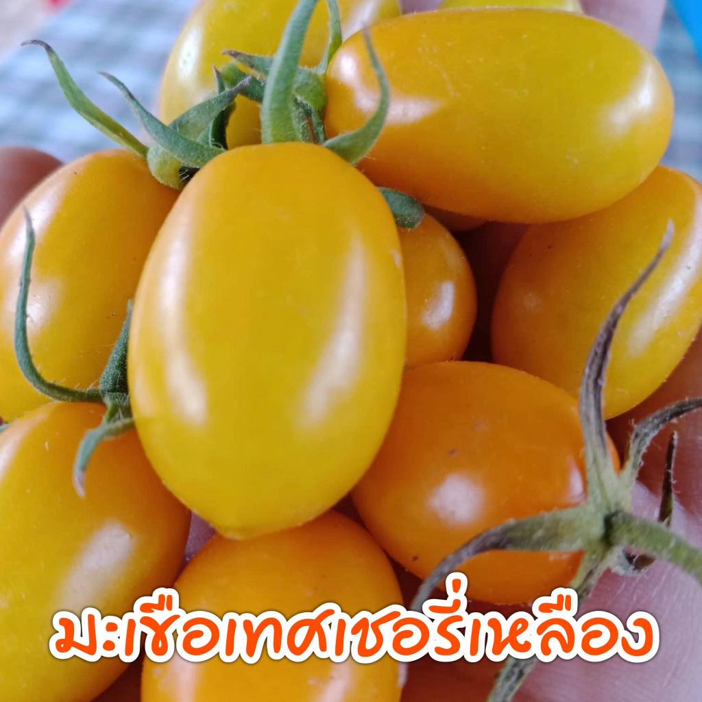 รูปภาพ 2