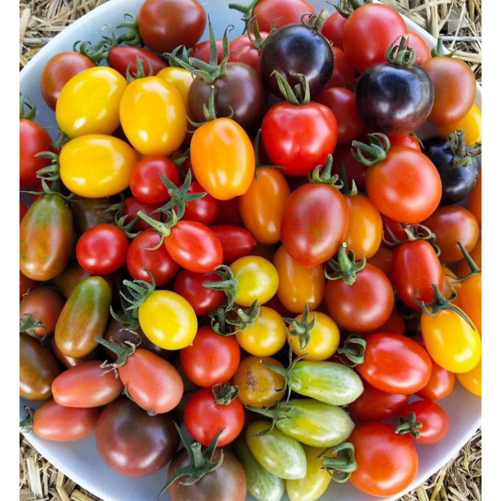 รูปภาพ 7