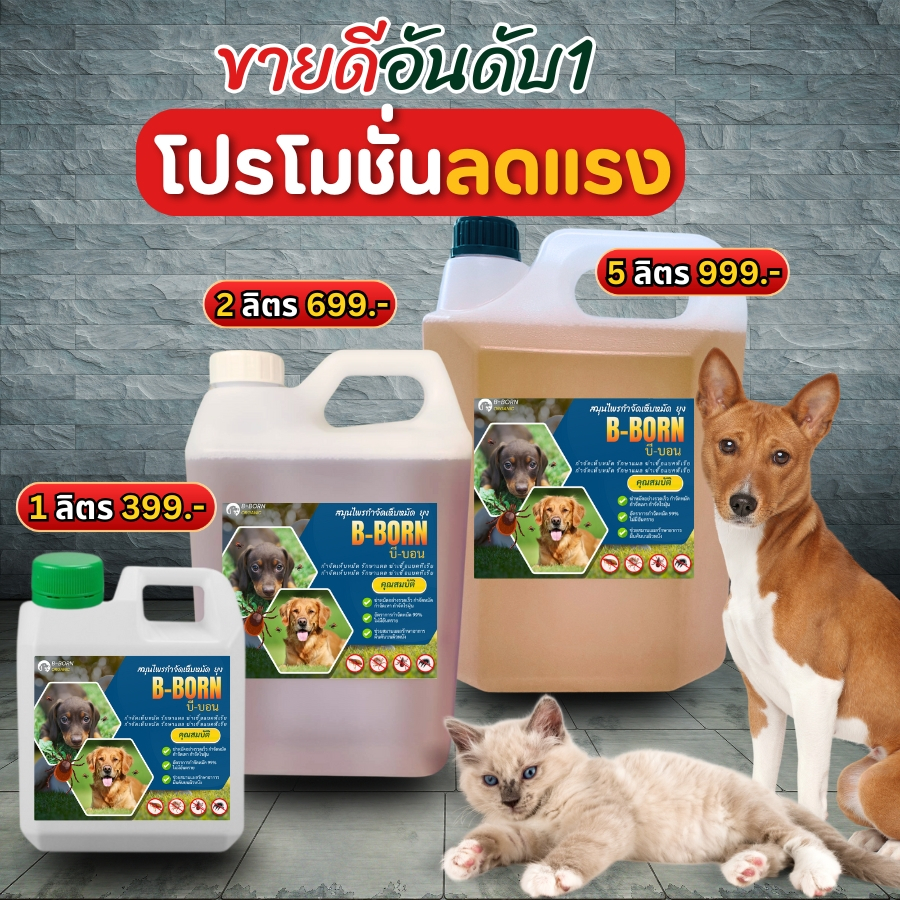 B-BORN น้ำยาไล่เห็บหมัด เหา ไร กำจัดเห็บหมัดหมา เห็บหมัดสุนัข สเปรย์กำจัดเห็บหมา สูตรออแกร์นิกเข้มข้น พร้อมบำรุงขน