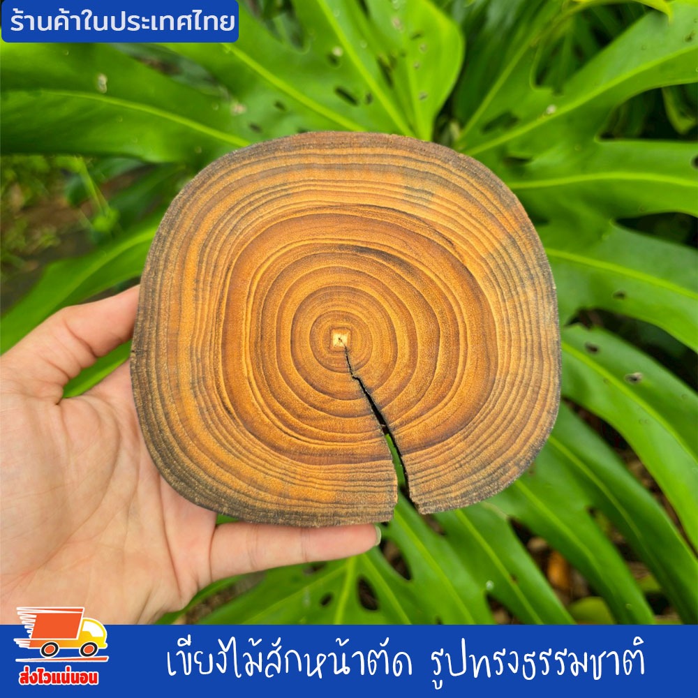 ไม้สักหน้าตัด กลม รูปทรงธรรมชาติ อาจมีรอยแตกตามธรรมชาติแต่ไม่แยกจากกัน เขียงไม้ เขียง ไม้สักแท้ คละไชส์ 13-16ชม.หนา 2ซม.