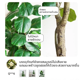 ☘️ซื้อ1แถม2☘️ต้นไม้ปลอม ต้นไม้ปลอมใหญ่ 105cm/33ใบ ฟรีกระถางดอกไม้ต้นไม้+หินตกแต่ง สไตล์นอร์ดิก ในบ้าน ต้นไม้มงคลปลอม