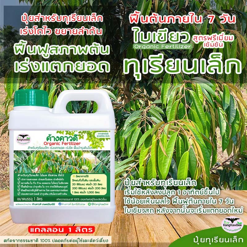 ปุ๋ยทุเรียนเล็ก ไม่โต โตช้า ใบเหลือง ค้างคาวดี(ของแท้)1ลิตร เร่งแตกยอด เร่งต้นโตไว F1D-1L