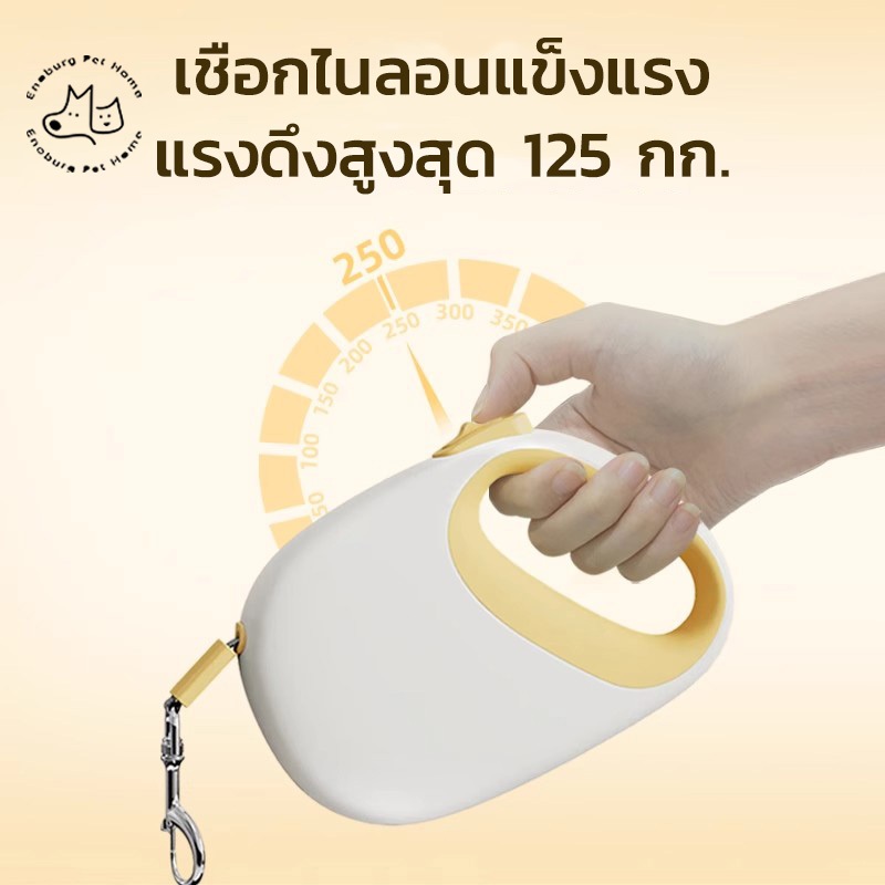 สายจูงสัตว์เลี้ยง ยาว 5 เมตร สายจูงยืดหด สุนัข แมว พกพาง่าย Retractable Dog Leash