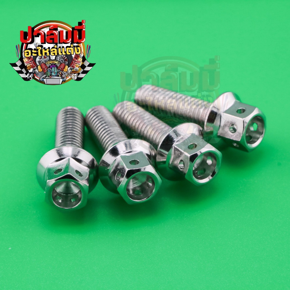 น็อตยึดประกับเลส มือเบรค-มือครัช 4 ตัว  (หัวเจาะ สีเลส)  สแตนเลสแท้ มอเตอร์ไซค์