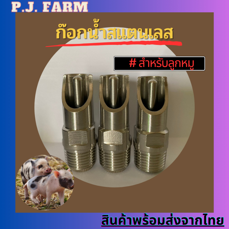 (เหมาะสำหรับลูกหมู) ก็อกน้ำหมูสแตนเลสเกลียว 4 หุน หรือ  1/2 นิ้ว แข็งแรงทนทาน