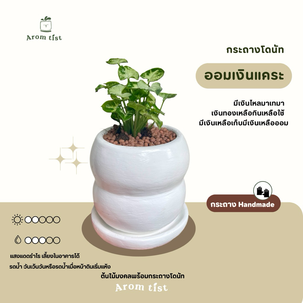 ต้นไม้มงคลพร้อมกระถางโดนัทAROMTIST