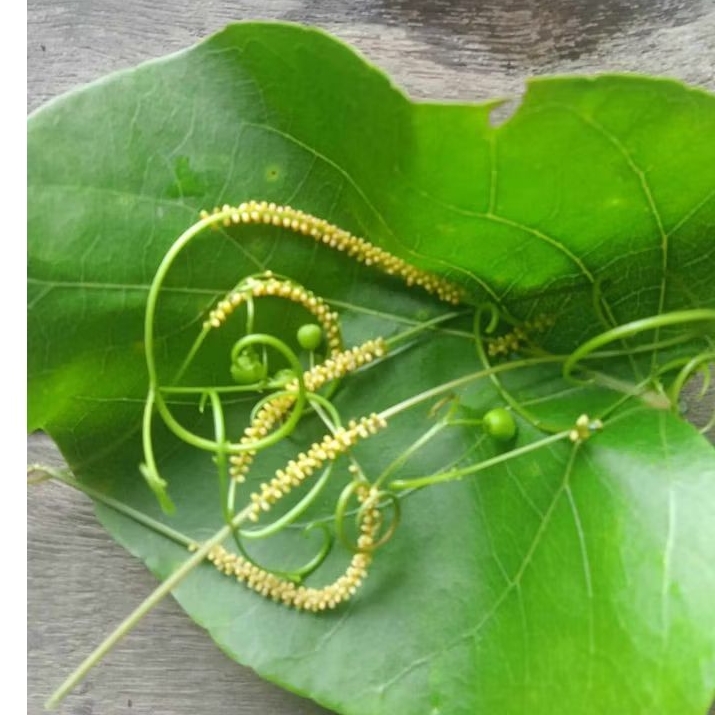 รูปภาพ 2