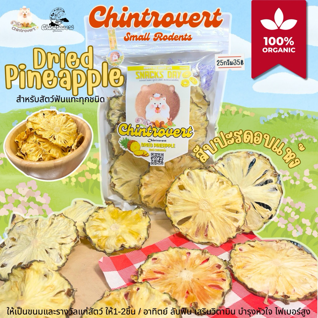 Chintrovert ✨| Dried Pineapple สับปะรดอบแห้ง 25 g. | ขนมกระต่าย ชินชิล่า แก็สบี้ แฮมเตอร์ ดอร์เมาท์ แฟตเทล