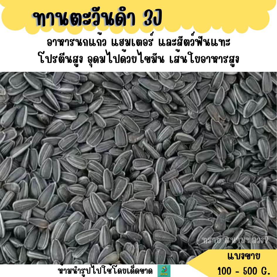 **ดำ 3J**เมล็ดทานตะวันดำ (แบ่งขาย 500 G.-1 KG.) อาหารนกและสัตว์ฟันแทะ