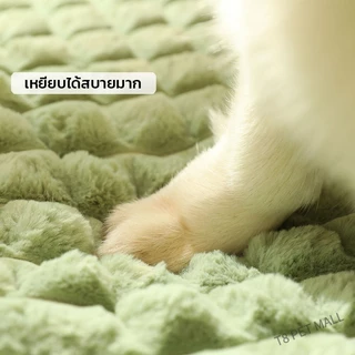 ที่นอนสัตว์เลี้ยง ผ้าฝ้าย ขนาดใหญ่ ซักทําความสะอาดได้ เบาะสัตว์เลี้ยง ที่นอนหมา ที่นอนเเมว ที่นอนสุนัข คอนโดแมว