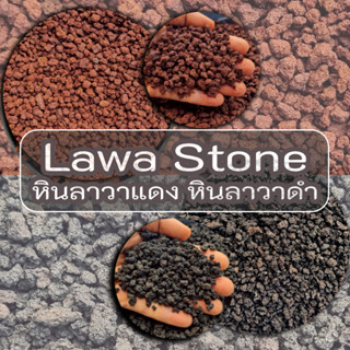 **ยกกระสอบ** หินลาวาแดง หินลาวาดำ น้ำหนักโดยประมาณ 19-20Kg *…