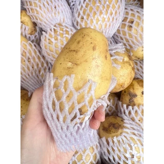 🥔 มันฝรั่งสด มันฝรั่งนอก ลูกใหญ่ ยกกล่อง9.5-10กิโลกรัม 🥔