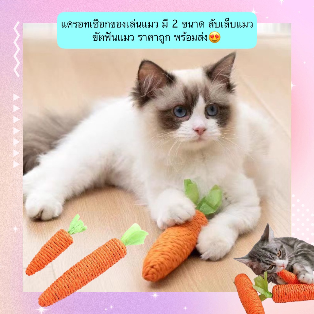 MG-1234 ของเล่นแมวรูปแครอท เชือกลับเล็บ ขัดฟัน มี 2 ขนาด ราคาเบา ๆ พร้อมจัดส่งทันที 😻🥕
