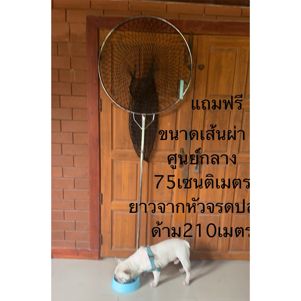 สวิงแสตนเลสแท้ใช้จับหมา