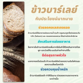 ข้าวบาร์เลย์ดิบ 500 กรัม ตราเสือบิน | Barley