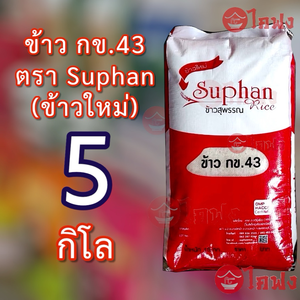 อ่านก่อนสั่ง🔥ส่งฟรี🔥 ข้าว กข43 ตราสุพรรณ Suphan ข้าวพันธุ์พิเศษ 5โล ข้าวคัดพิเศษ เมล็ดยาว หุ่งนุ่ม น