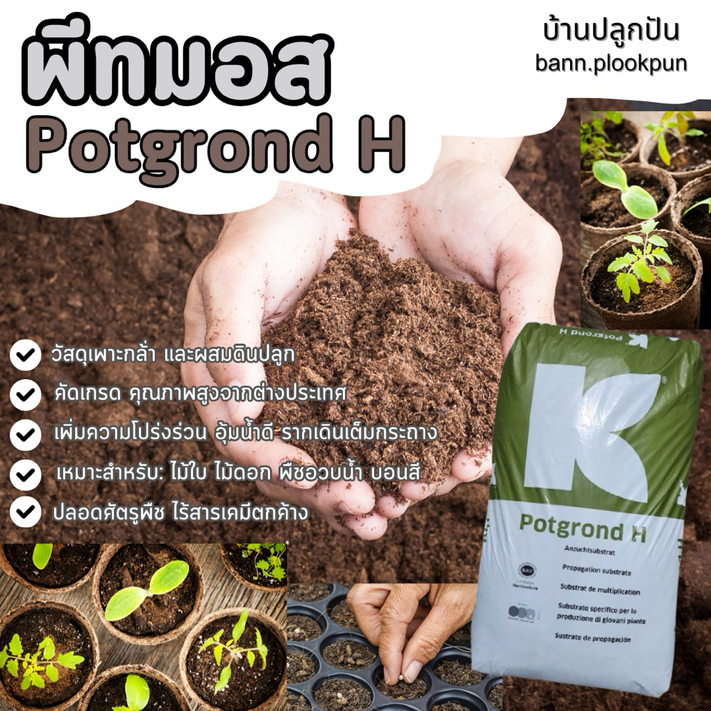 พีทมอส คลาสแมน PotGround H วัสดุเพาะกล้า วัสดุปลูก
