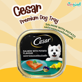 Cesar อาหารเปียก รสปลาแซลมอนพร้อมมันฝรั่ง (100g)