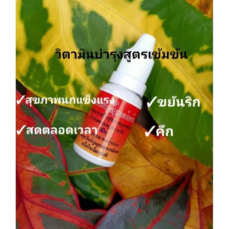 SP FARM วิตามินบำรุงสูตรเข้มข้น