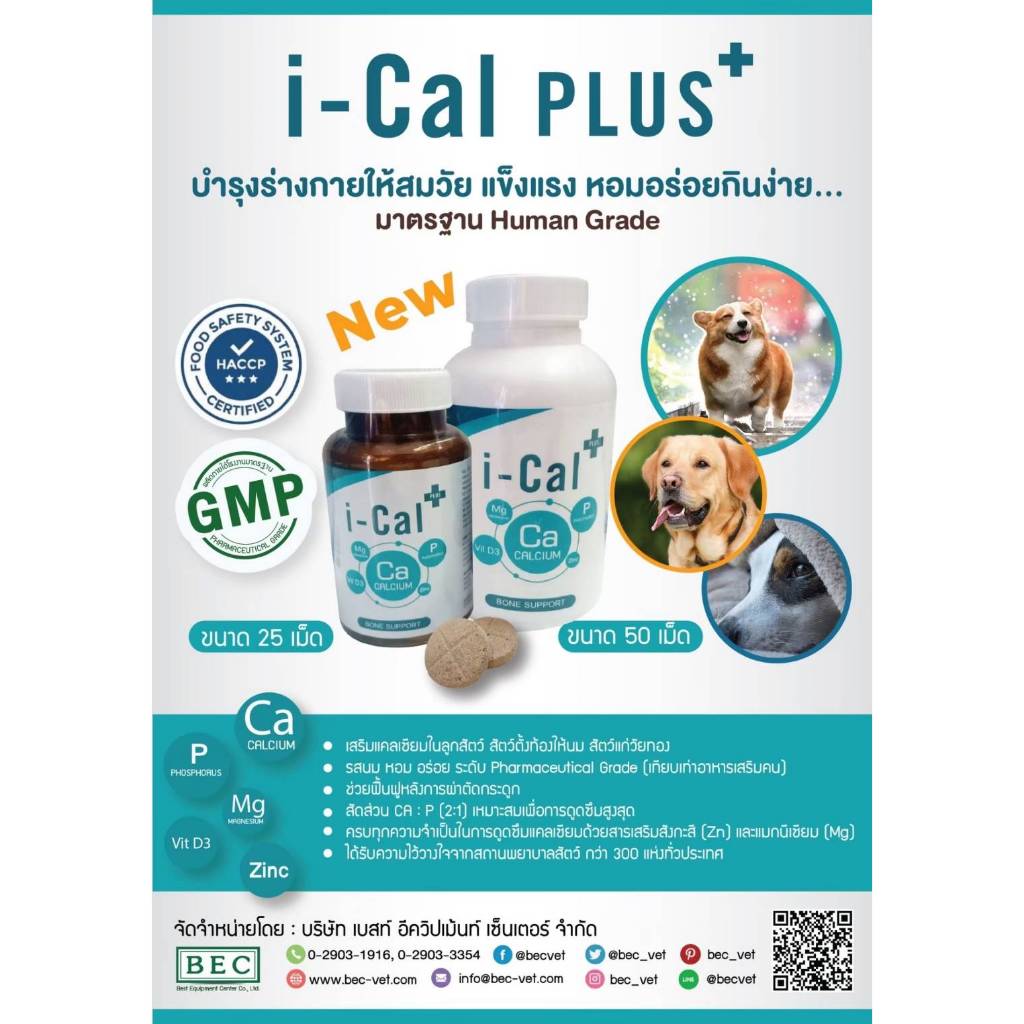 i-Cal Plus อาหารเสริม แคลเซียม บำรุงกระดูกและฟัน แมว สุนัข Dog Cat Supplement Calcium ของแท้