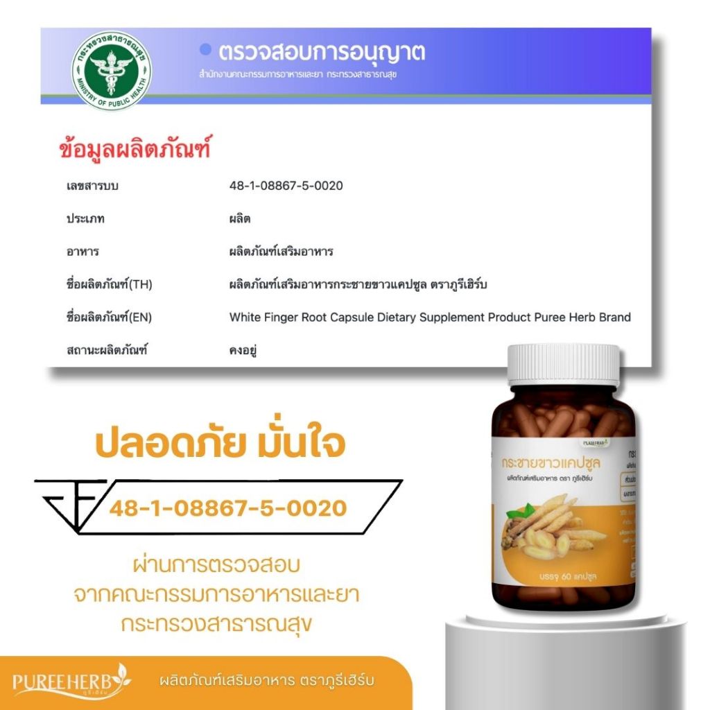 กระชายขาวแคปซูล ตราภูรีเฮิร์บ - เสริมภูมิคุ้มกัน (ร้านเจ้าของแบรนด์) - รูปที่ 3