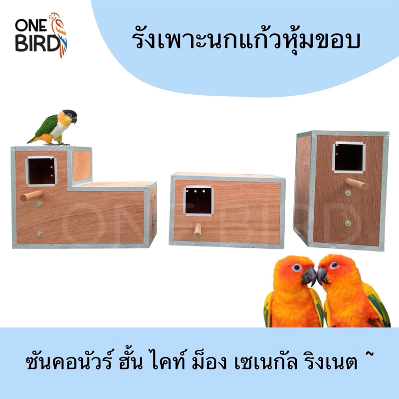 รังเพาะนกเเก้วซันคอนัวร์ กล่องนอนทำจากไม้ใหม่AAA บ้านนก ซัน กรีนชีค ริงเนต ม็องค์ ไคท์
