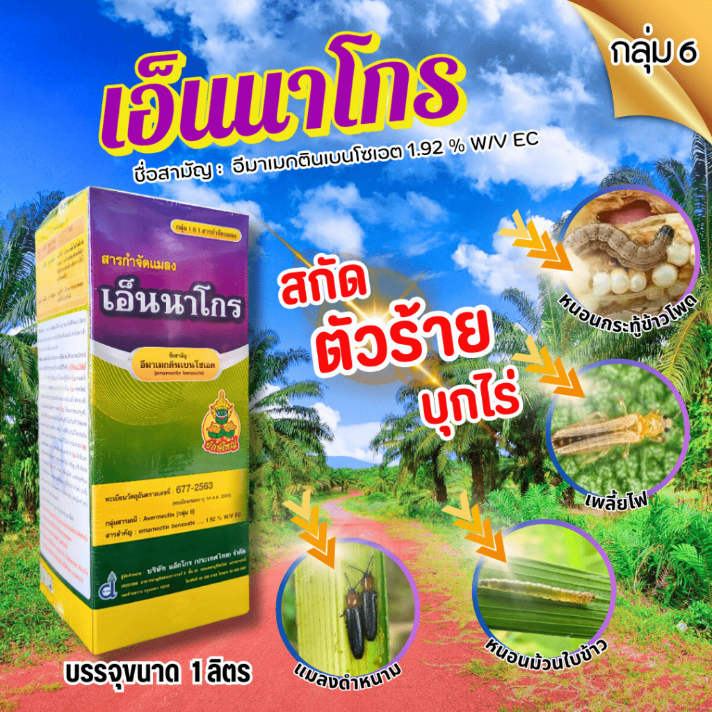 สารกำจัดด้วงเจาะมะพร้าว1000ccชื่อเอ็นนาโกร กำจัดหนอนเจาะลำต้น ได้ผลดี ใช้ง่าย