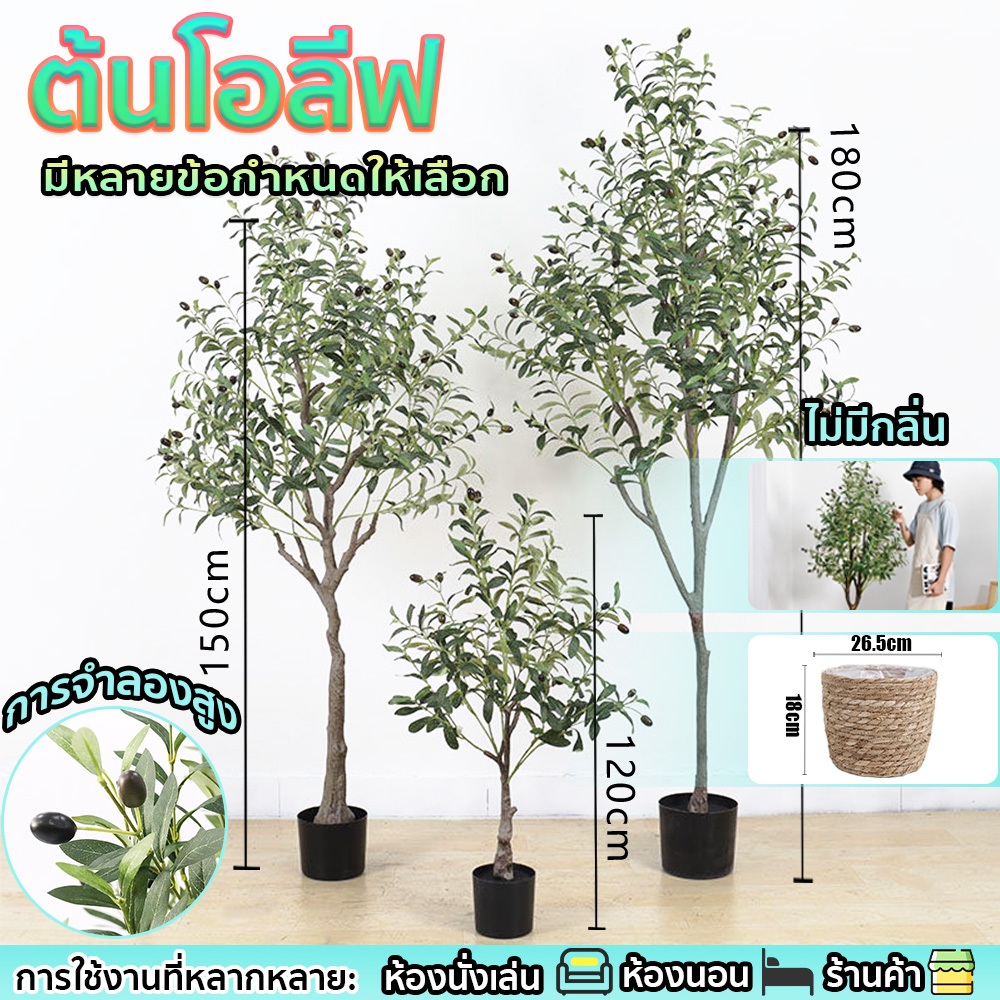 *99%การจําลองสูง*ต้นโอลีฟ ไม่มีกลิ่น ห้องนั่งเล่น/ห้องนอน/ร้านค้า 120/150/180 ต้นไม้ปลอม  ต้นมะกอกปลอม ต้นไม้เทียม