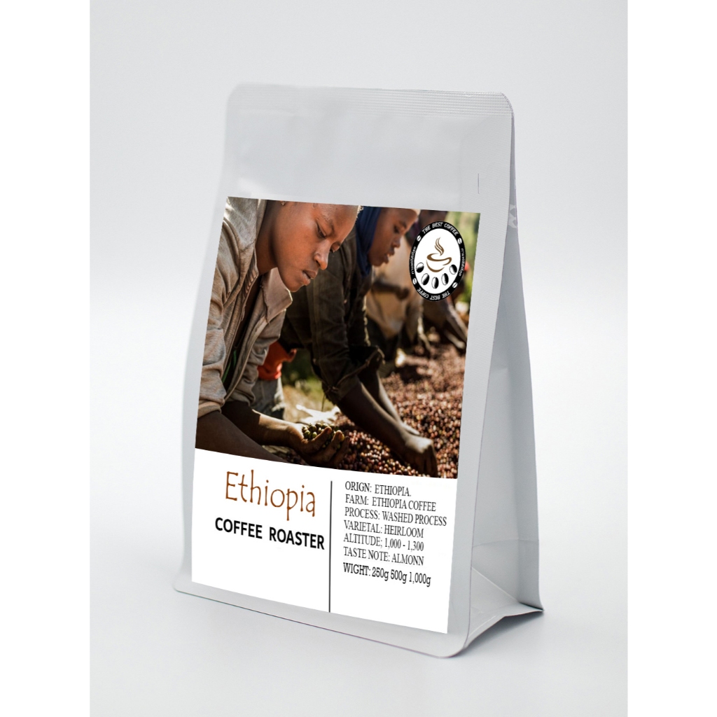 Ethiopia Coffee Roasted ผู้หญิงก้มเก็บกาเเฟคั่้ว Ethiopia Yirgracheffel Premium Grade AA