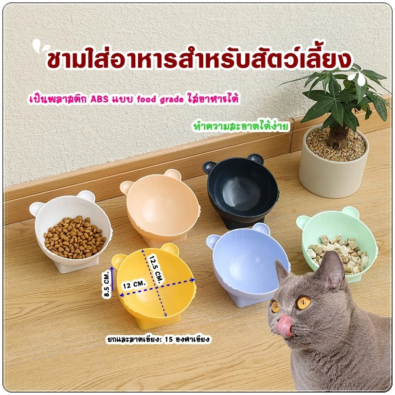 Thai.th ชามใส่อาหารสำหรับสัตว์เลี้ยง อาหารแมว หมา สินค้าพร้อมส่ง ZC21002 thumbnail 10