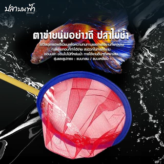 สวิงตักปลา กระชอนตักปลา แบบเหลี่ยม เข้าซอกตู้ได้เป็นอย่างดี ตาข่ายเหนียว ด้ามพีวีซี ใช้ได้ยาวนาน (คละสี) ที่ วน