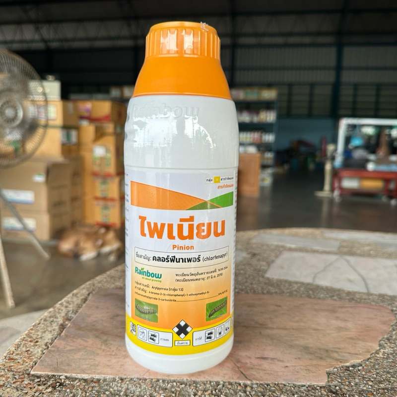 ไพเนียน 1ลิตร(เรนโบว์) สารคลอร์ฟีนาเพอร์10%SC น้ำครีม ยาเย็นดูดซึม กำจัดหนอน เพลี้ย ไร ถูกตัวตาย กินตาย หนอนกอ บั่ว