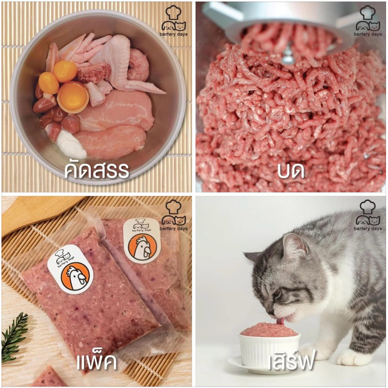 Barf แมว สุตรปรับท้อง และ12สุตรสมดุล