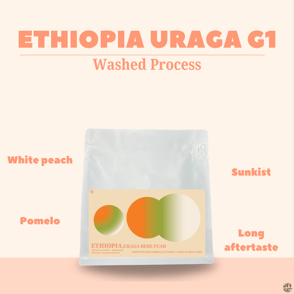 Offroast เมล็ดกาเเฟคั่วอ่อน Ethiopia Uraga G1
