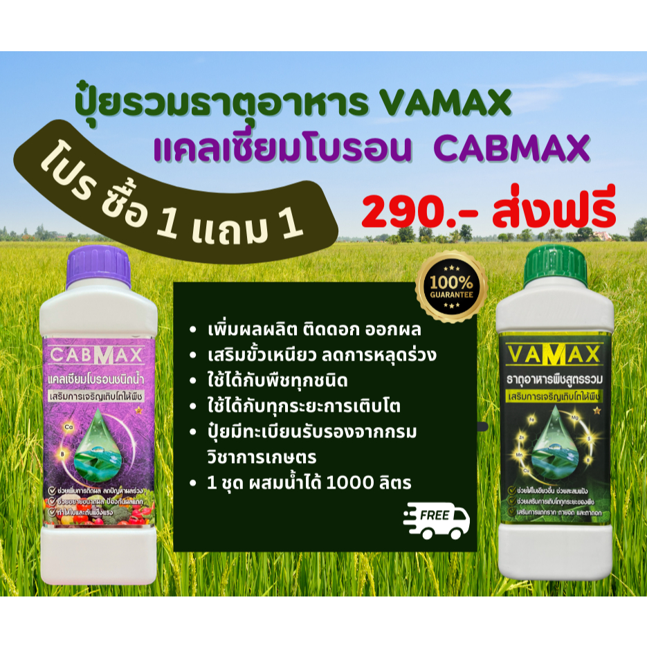 CABMAX+VAMAX แคลเซียมโบรอนเข้มข้ม แถม ปุ๋ยธาตุรวม [ชุด 1แถม1]