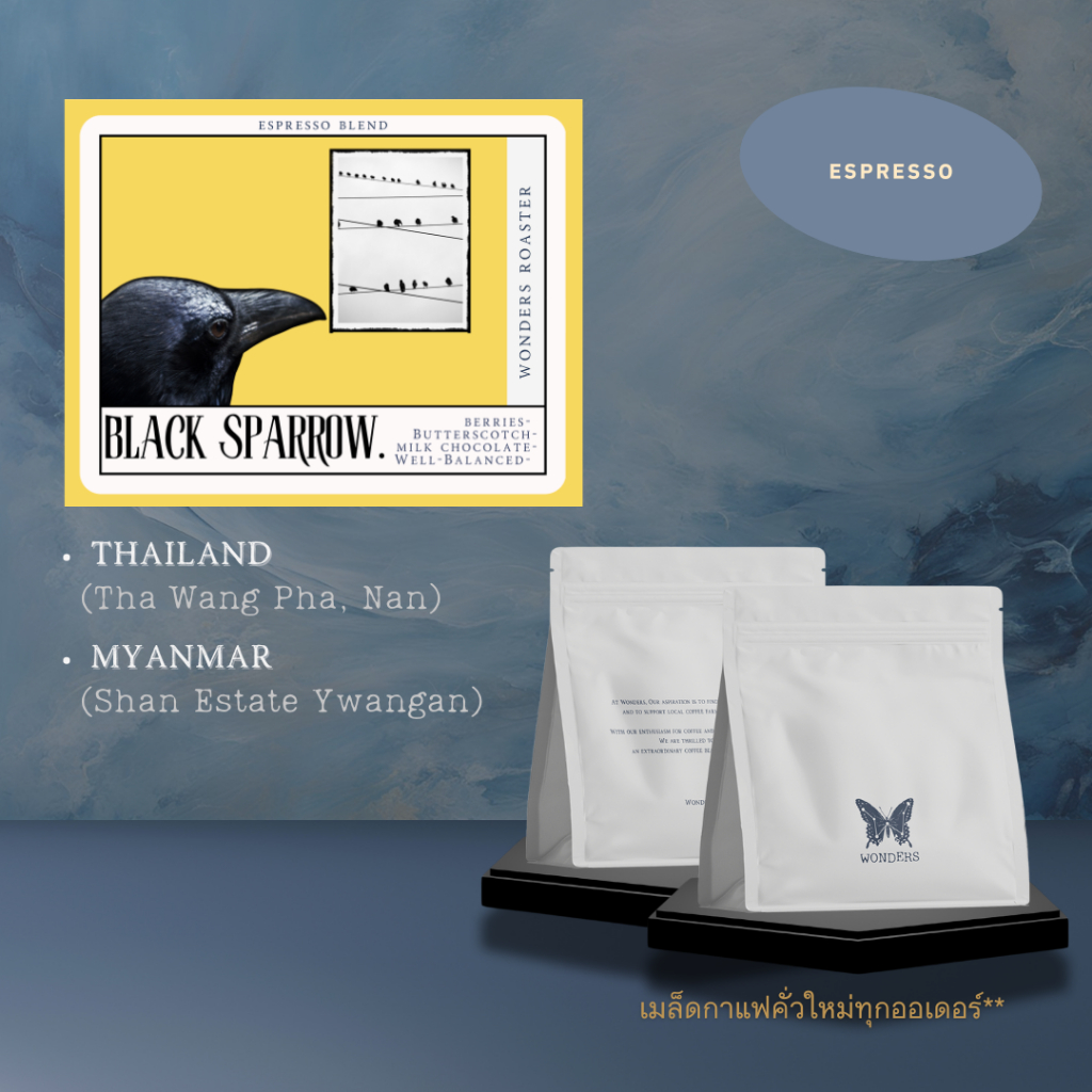 Wonders Roaster | กาแฟคั่วกลาง เมล็ดกาแฟ Black Sparrow เบลนกาแฟไทย กาแฟสด House blend coffee