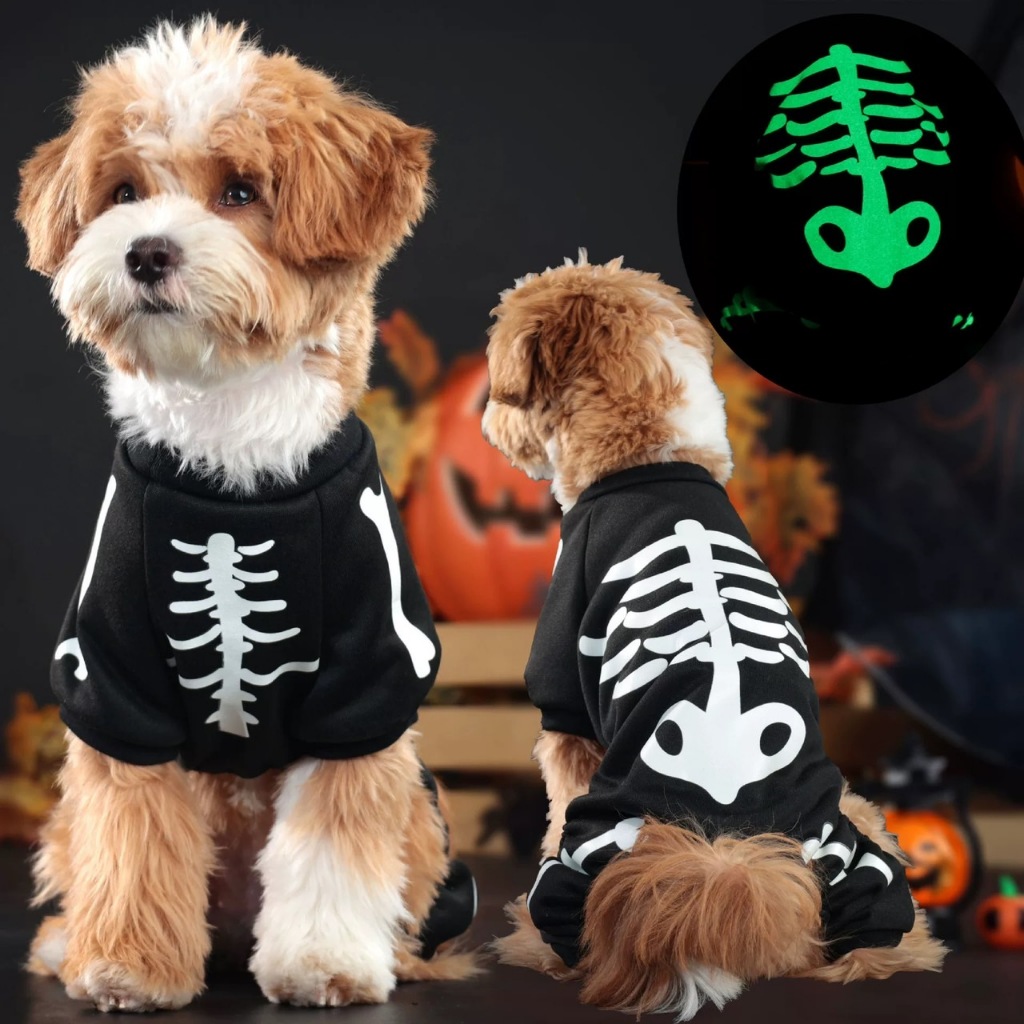 [🚚 พร้อมส่ง] ชุดฮาโลวีนแมว สะท้อนแสงได้ Halloween Luminous Pet Suit สำหรับฮาโลวีน ชุดแฟนซีแมว หมา