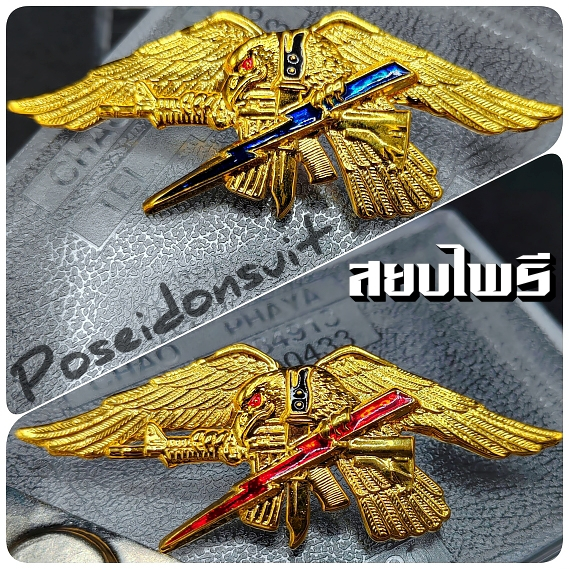 เครื่องหมายสยบไพรี ปีกสยบไพรี
