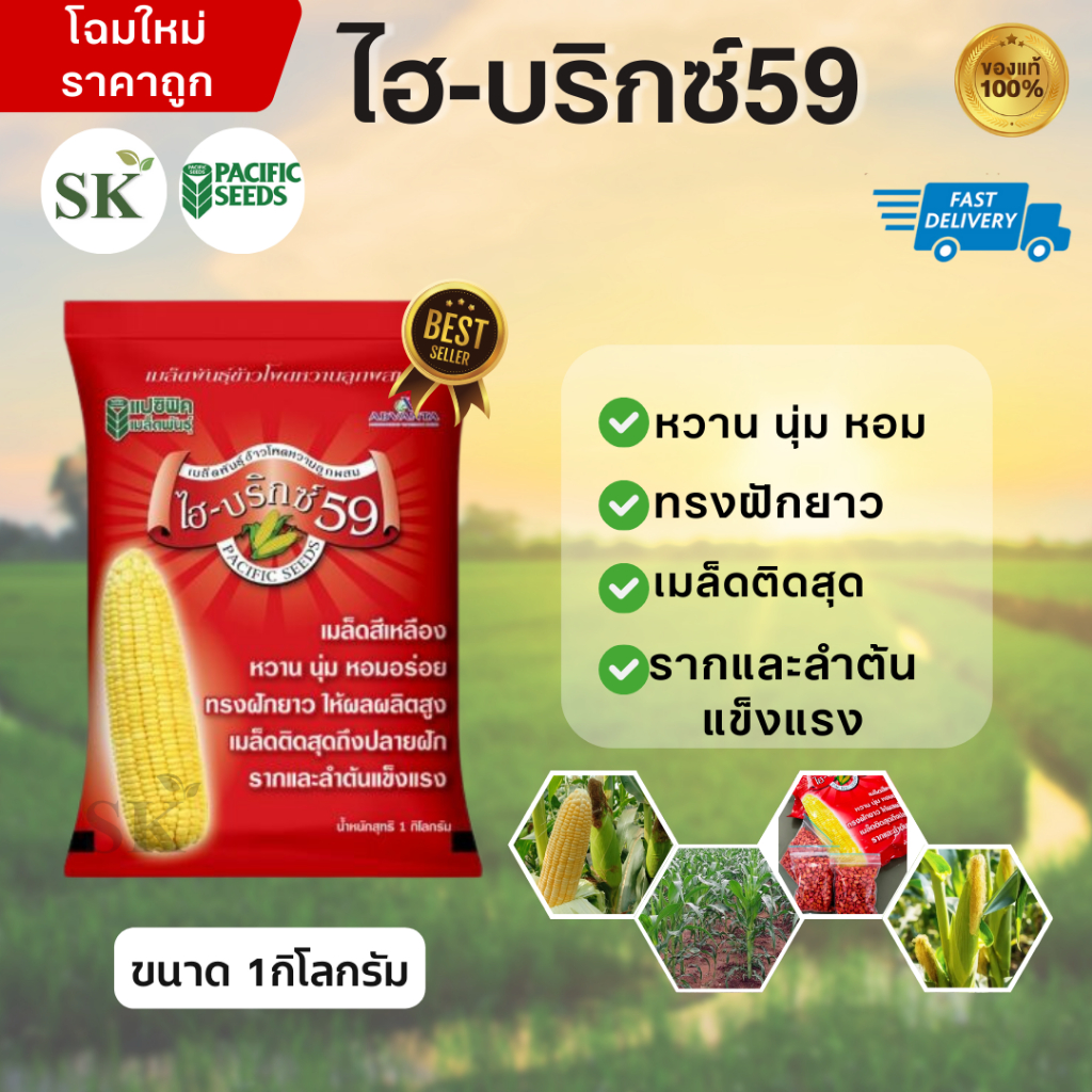 (หมดอายุ 15/11/69 )ไฮบริกซ์ 59 ข้าวโพดหวาน เมล็ดพันธุ์ ขนาด 1 กิโลกรัม