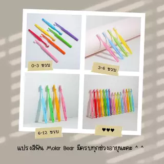 Molar Bear รุ่น Big Kids แปรงสีฟันเด็ก ขนนุ่ม หัวแปรงขนาดพอดี จับถนัดมือ (6-12 ขวบ+)