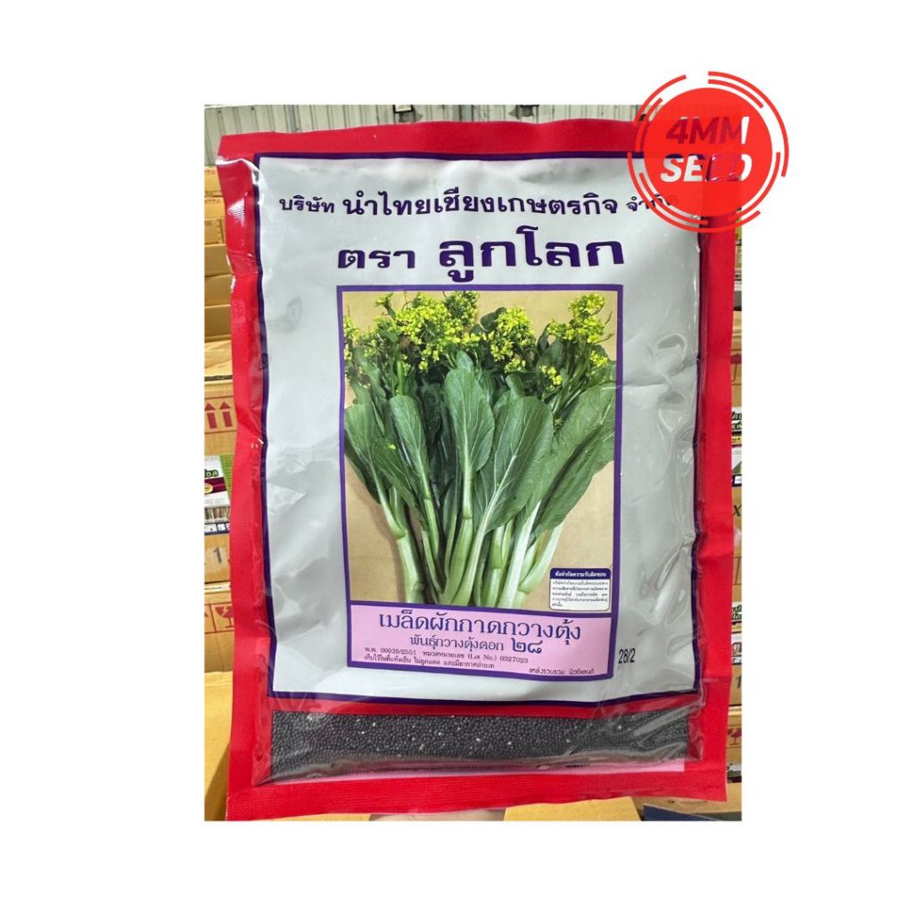 กวางตุ้งดอกลูกโลก ขนาด 500 กรัม อวบอ้วน น้ำหนักดี เขียวเข้ม ดอกดก