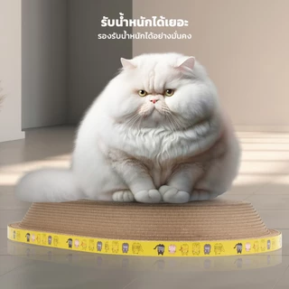 PETLOVE อ่างลับเล็บแมว ทรงวงรี ที่ลับเล็บแมว คุณภาพดี ที่ลับเล็บแม 2in1