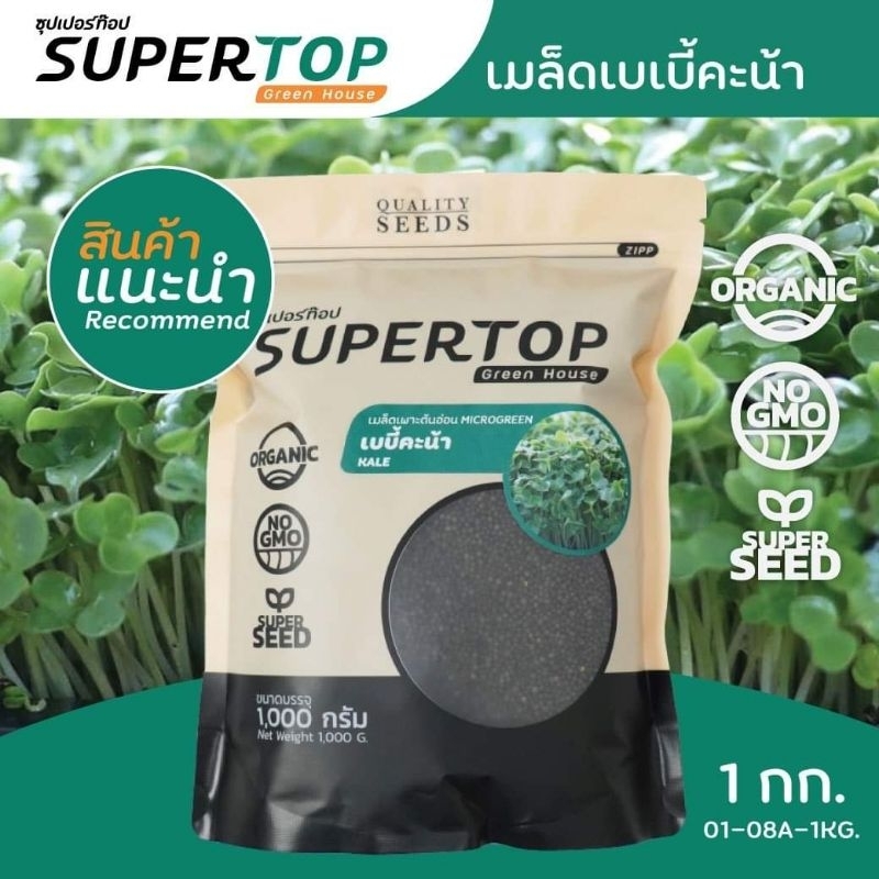 เบบี้คะน้า (Kale Microgreen) SUPERTOP ขนาด 1 KG.