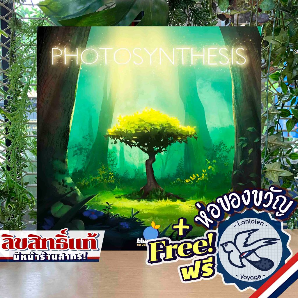 Photosynthesis ห่อของขวัญฟรี [Boardgame]