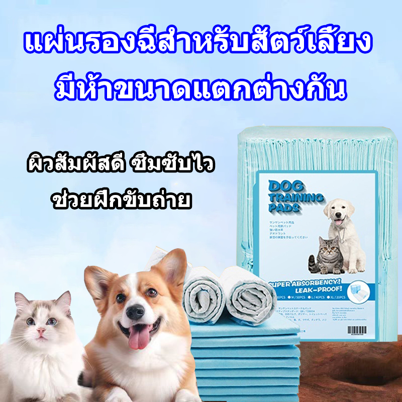 แผ่นรองฉี่สำหรับสัตว์เลี้ยง ผิวสัมผัสดี ซึมซับไว ช่วยฝึกขับถ่าย