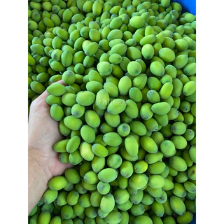 เม็ดบัวสด เม็ดบัวแกะแล้ว เก็บจากบ่อธรรมชาติ ปลอดสารเคมี